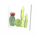 Fondo 32 x 32 in. Four Little Cactus-Print on Canvas FO2791922